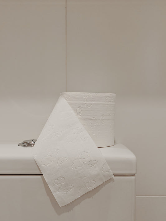 Switching to a Bidet: Why It's Better for Your Wallet and the Environment.